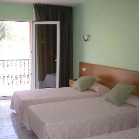 Vida Chamuinas サンシェンショ