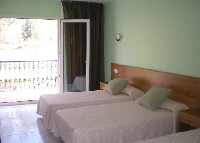 Vida Chamuinas サンシェンショ